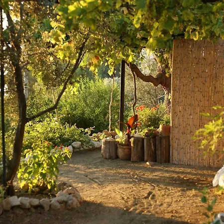 Faralya Botanica