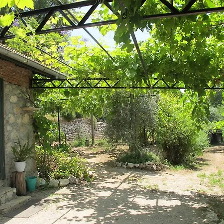 Faralya Botanica