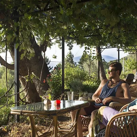 Couette-café Faralya Botanica *